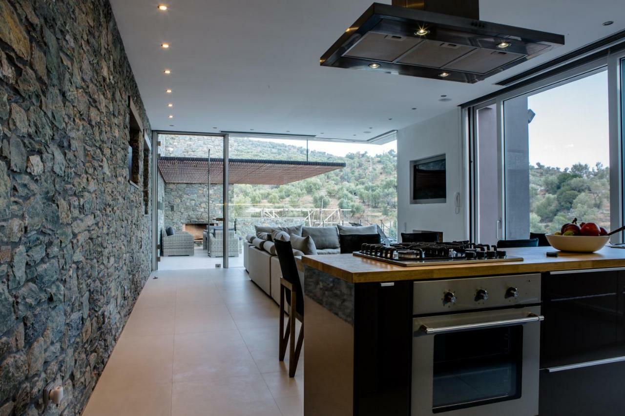 Infinity Villa Plomari 外观 照片